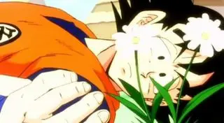 Dragon Ball Z 42 - El Planeta Freezer Nro. 79; Vegeta ha revivido.