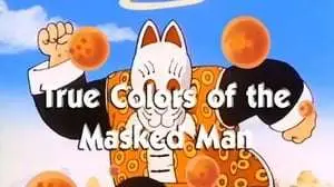 Dragon Ball Capitulo 76: La verdadera identidad del hombre enmascarado es