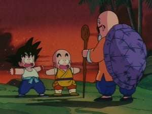 Dragon Ball Capitulo 16: La cacería de piedras