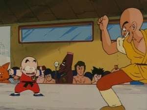Dragon Ball Capitulo 20: ¿Podrá el duro entrenamiento ser puesto en practica?