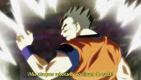 Dragon Ball Super Sub 103 – ¡No muestres piedad, Gohan! Enfrentamiento contra el Universo 10