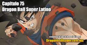 Dragon Ball Super Sub 75 – Goku y Krilin de vuelta el antiguo lugar de entrenamiento