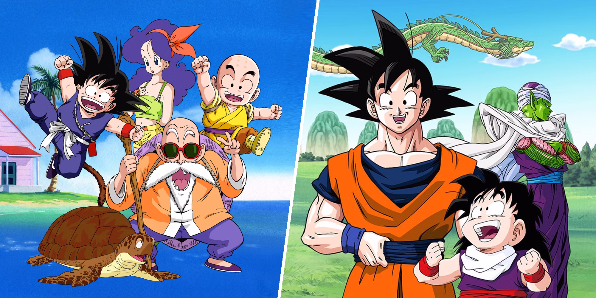 La filosofía de vida según las enseñanzas de Maestro Roshi